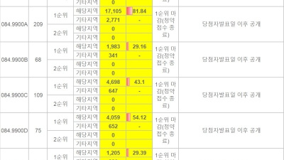 둔산자이 경쟁율