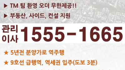 9호선 급행역 역세권 팀수수 4천