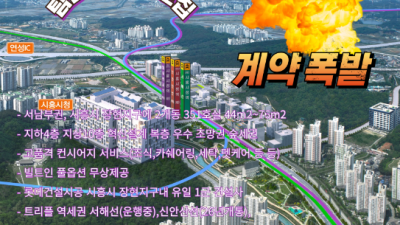 시흥시청역 트리플메트로 루미니 아파텔